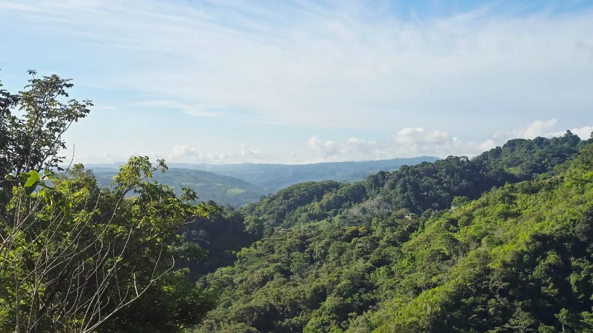 SE VENDE FINCA CON VISTAS PANORAMICAS E IDEAL PARA GLAMPING EN PEREZ ZELEDON - Venta en Pérez Zeledón, photo 8