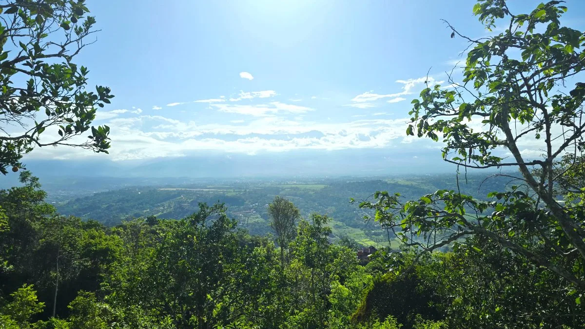 SE VENDE FINCA CON VISTAS PANORAMICAS E IDEAL PARA GLAMPING EN PEREZ ZELEDON - Venta en Pérez Zeledón, photo 9