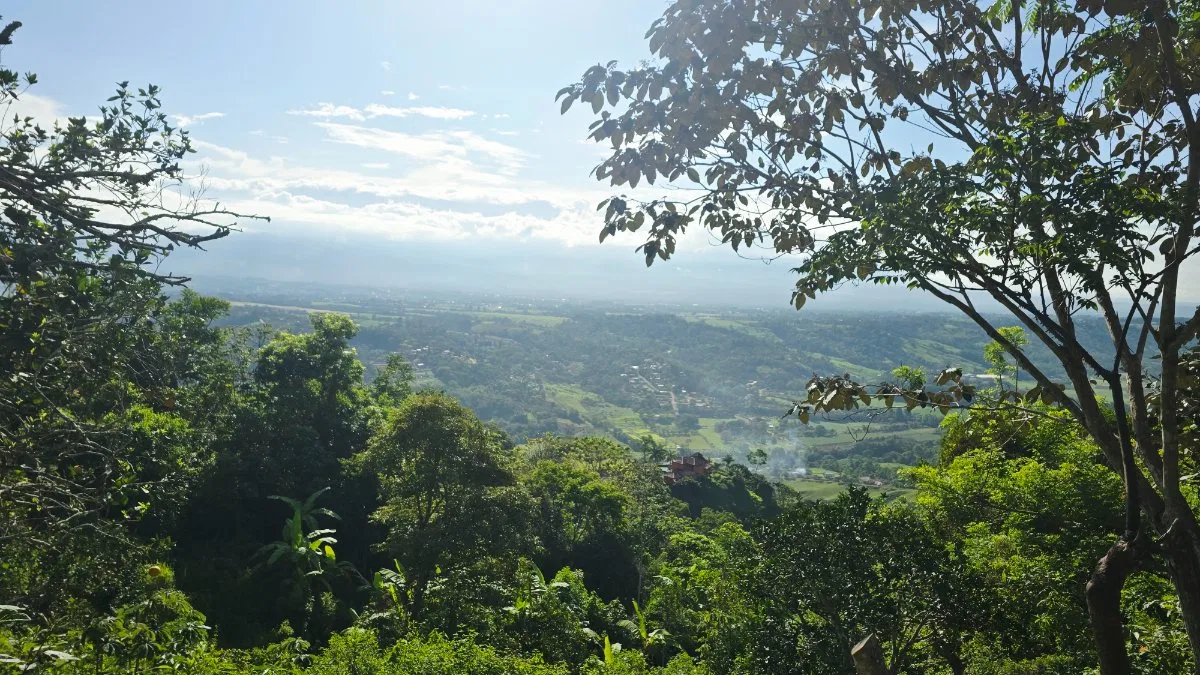 SE VENDE FINCA CON VISTAS PANORAMICAS E IDEAL PARA GLAMPING EN PEREZ ZELEDON - Venta en Pérez Zeledón, photo 10