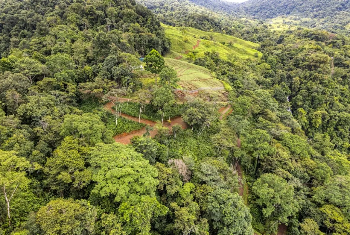 PROPERTY WITH A PANORAMIC VIEWS OF A MOUNTAINS AND WATERFALL, IN ALFOMBRA TINAMASTES – 21.34 ACRES, photo 4