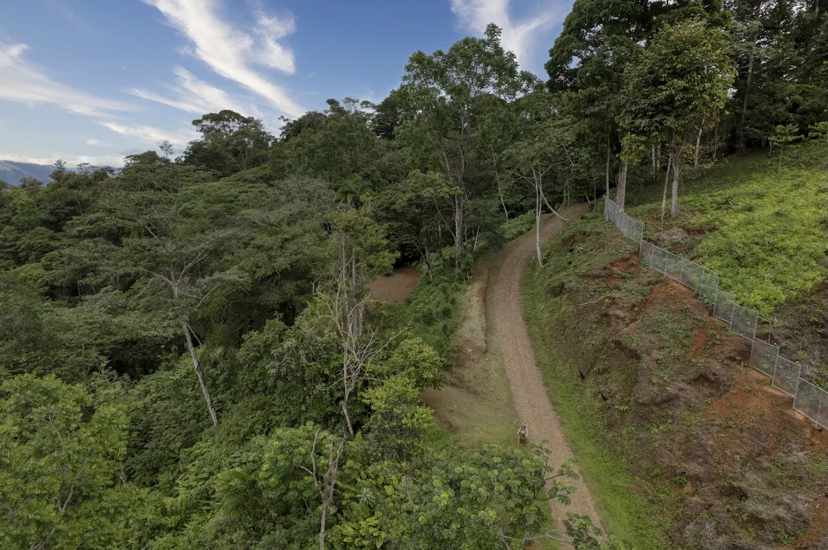 PROPERTY WITH A PANORAMIC VIEWS OF A MOUNTAINS AND WATERFALL, IN ALFOMBRA TINAMASTES – 21.34 ACRES, photo 5