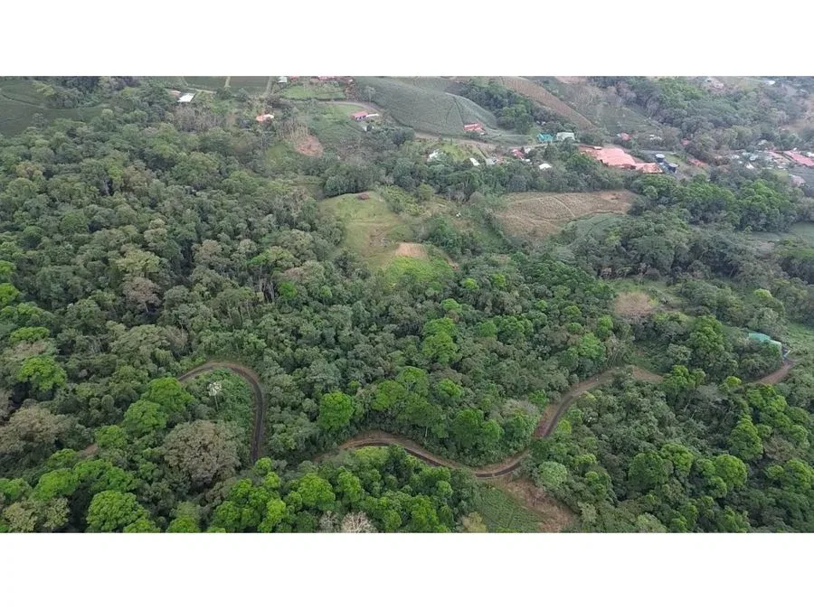 Venta / Lote de ensueño en San Carlos, photo 4