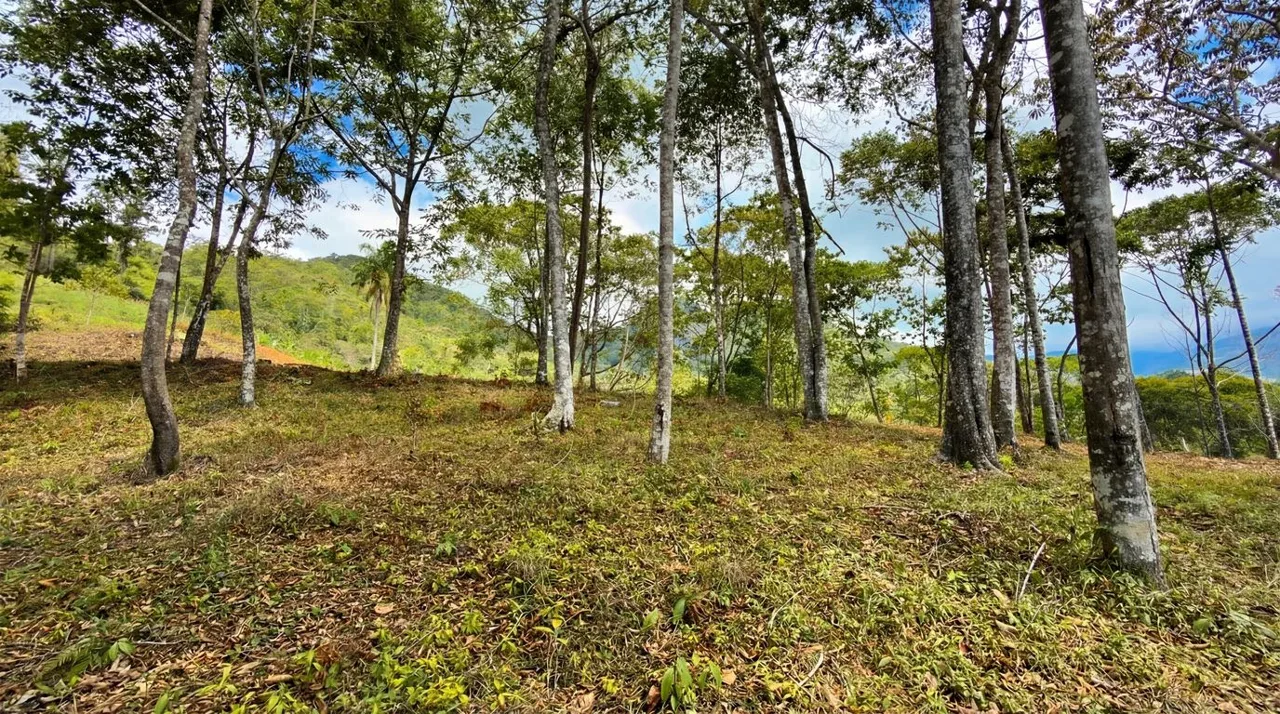 For Sale: Beautiful Mountain 706m2 Residential Lot in Quebradas - CR, photo 11