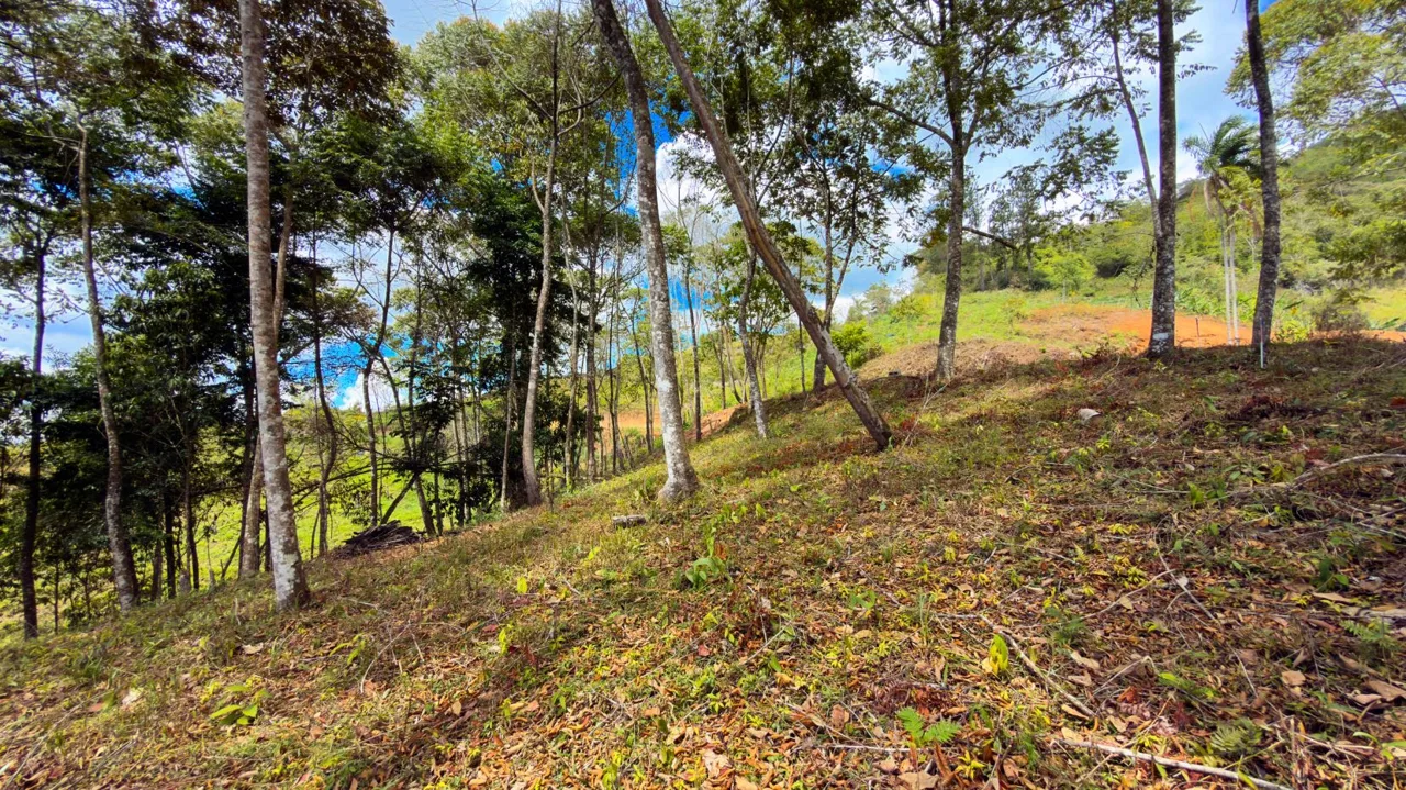 For Sale: Beautiful Mountain 706m2 Residential Lot in Quebradas - CR, photo 12