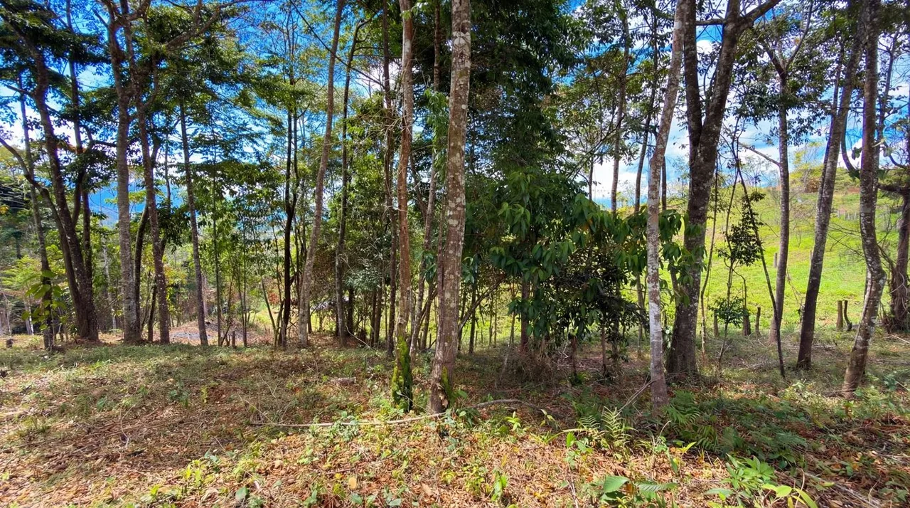 For Sale: Beautiful Mountain 706m2 Residential Lot in Quebradas - CR, photo 13