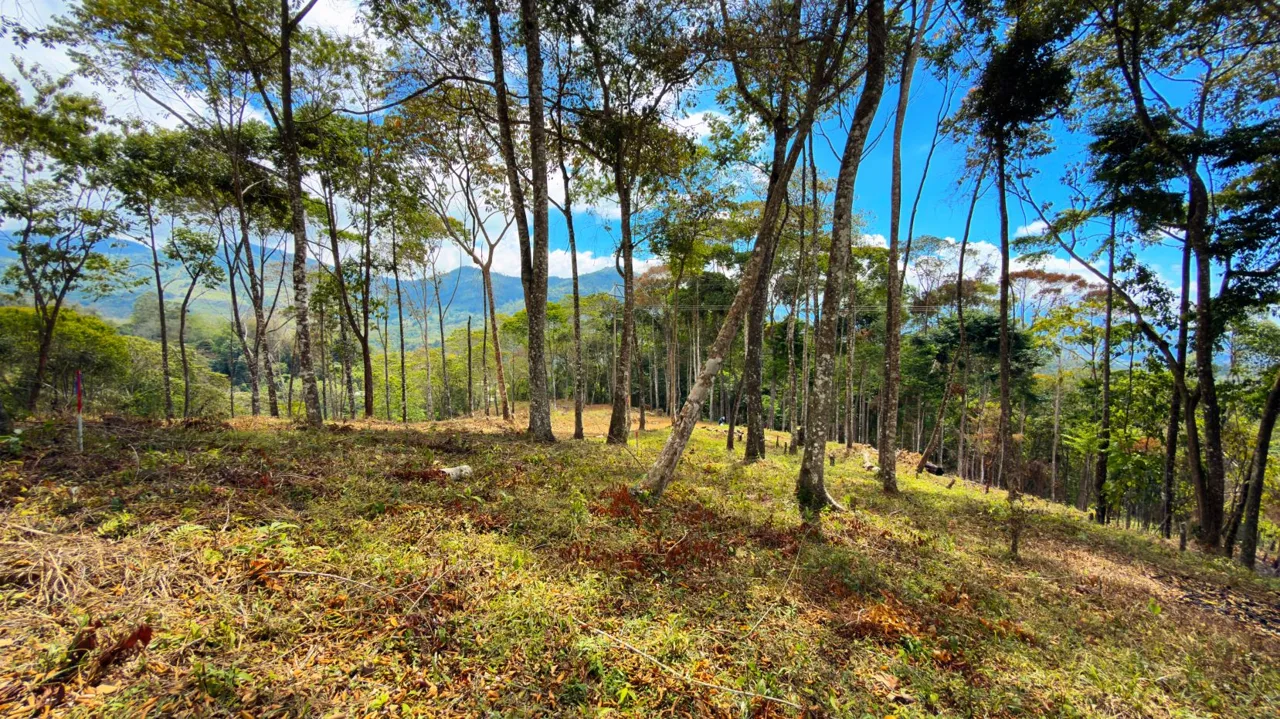 For Sale: Beautiful Mountain 706m2 Residential Lot in Quebradas - CR, photo 6