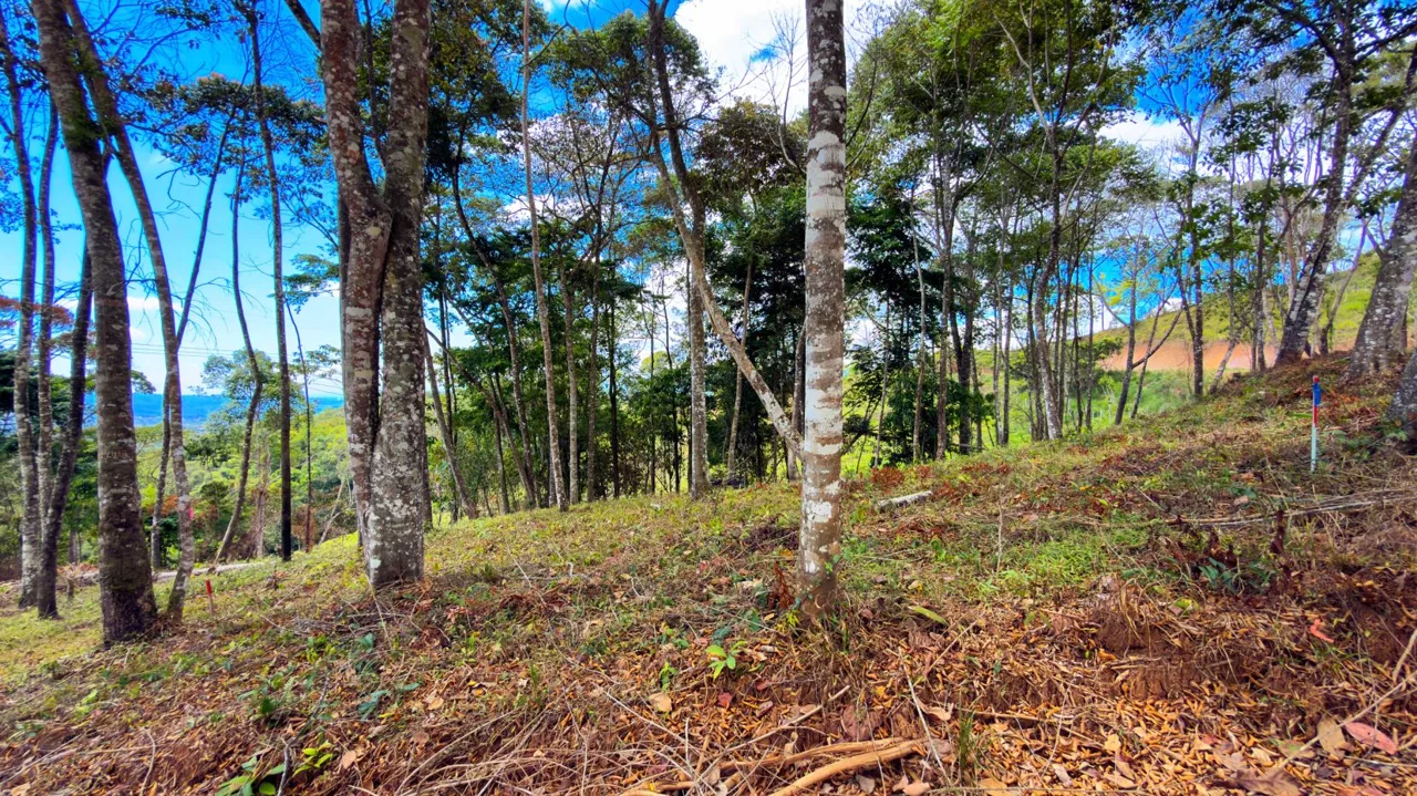 For Sale: Beautiful Mountain 706m2 Residential Lot in Quebradas - CR, photo 7