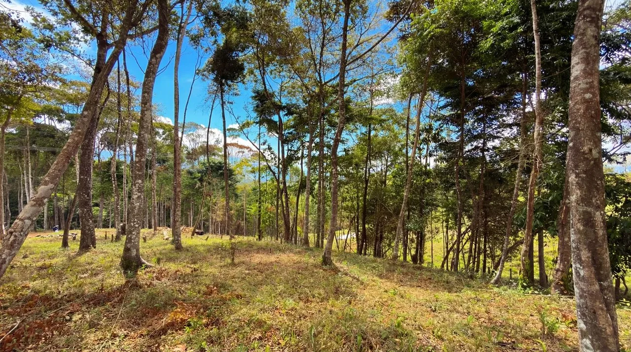 For Sale: Beautiful Mountain 706m2 Residential Lot in Quebradas - CR, photo 8