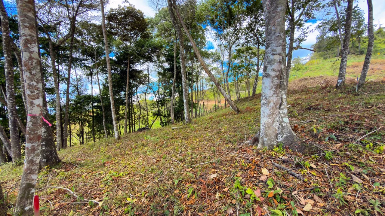 For Sale: Beautiful Mountain 706m2 Residential Lot in Quebradas - CR, photo 9