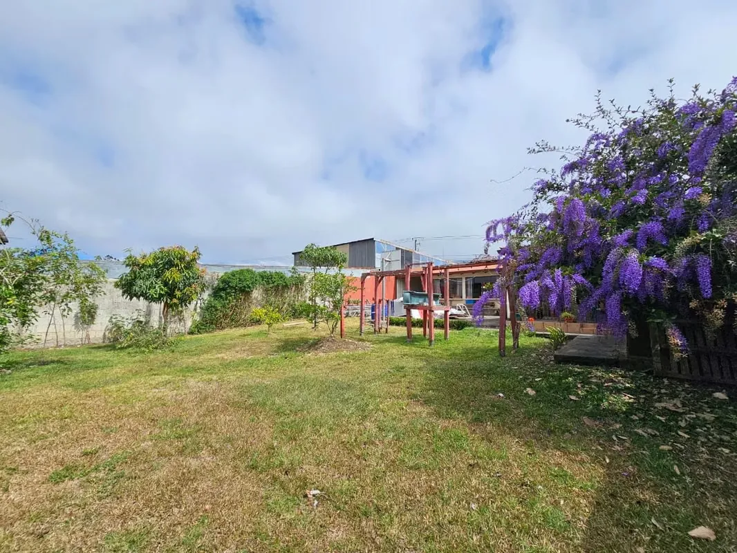 Property for Sale with House in Commercial Area on the Road to Irazú Volcano, photo 6