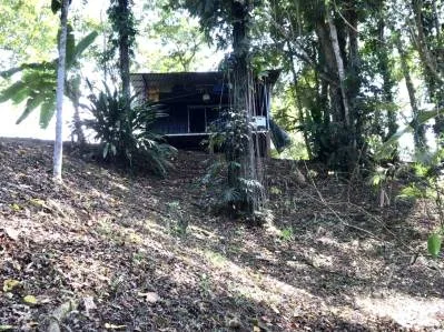 Gran Lote de Oportunidad a Pasos del Centro de Puerto Viejo Rodeado de Abundante Naturaleza !