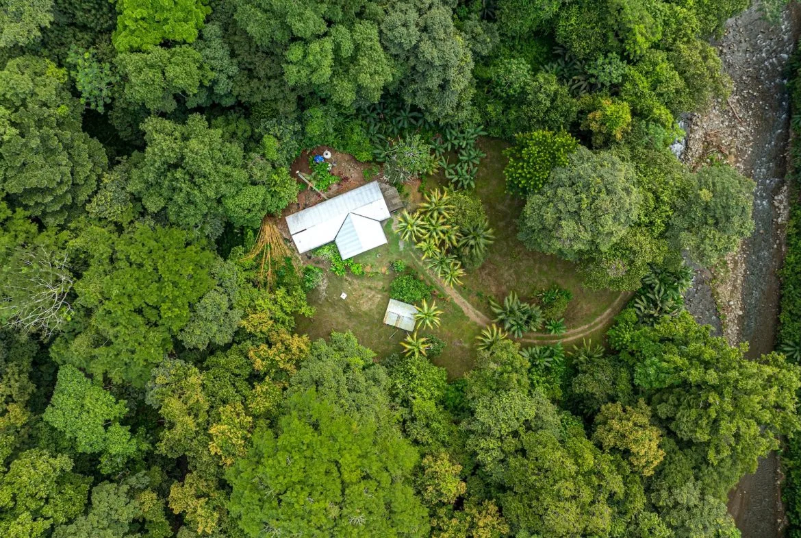 JUNGLE PROPERTY WITH EXTRA BUILDING LOTE A STEPS OF THE RIVER, IN CINCO VENTANAS OJOCHAL – 6.93 ACRES, photo 2