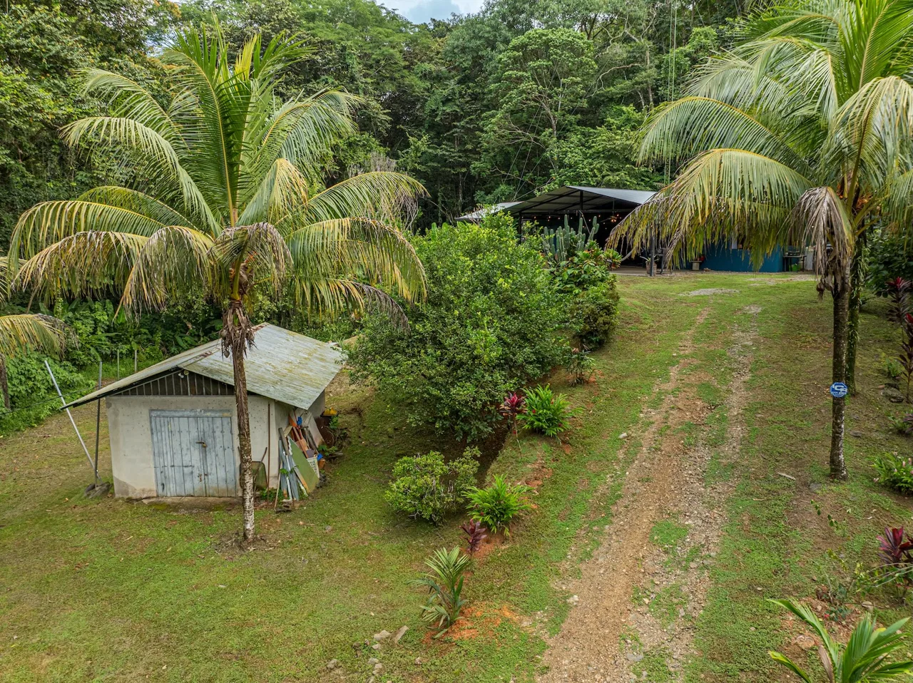 JUNGLE PROPERTY WITH EXTRA BUILDING LOTE A STEPS OF THE RIVER, IN CINCO VENTANAS OJOCHAL – 6.93 ACRES, photo 5