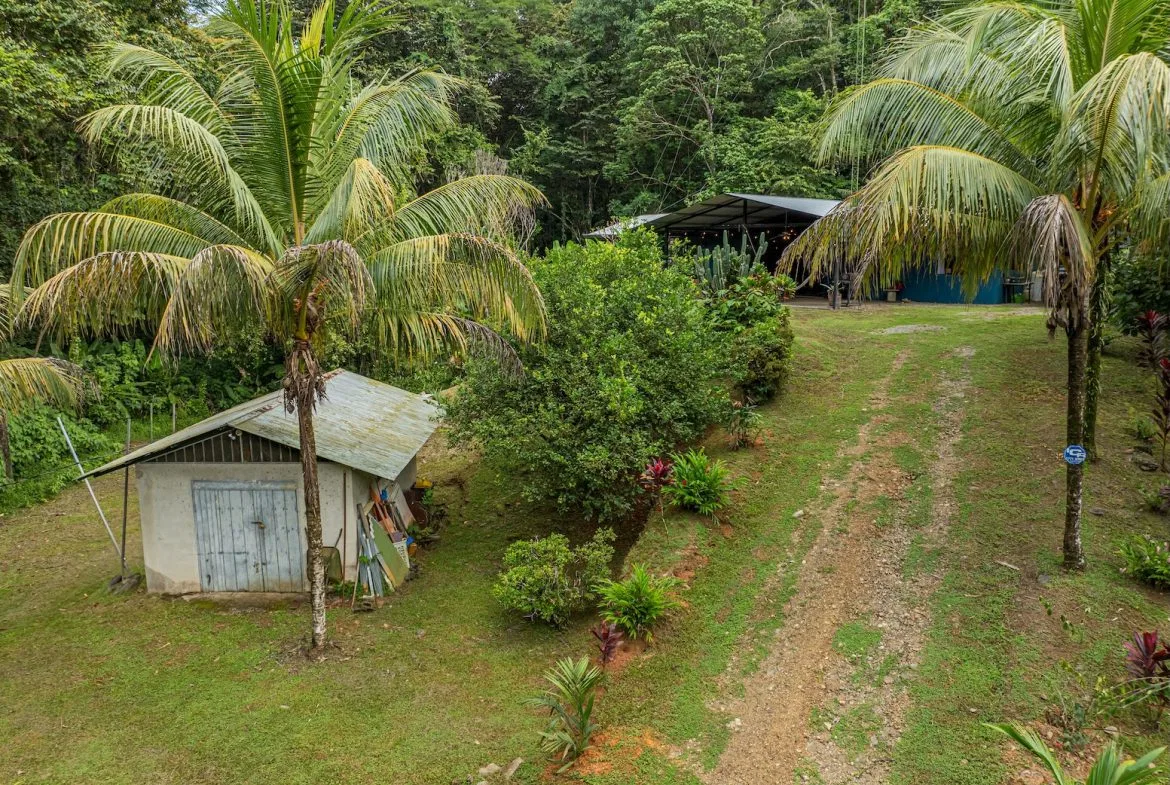 JUNGLE PROPERTY WITH EXTRA BUILDING LOTE A STEPS OF THE RIVER, IN CINCO VENTANAS OJOCHAL – 6.93 ACRES, photo 6