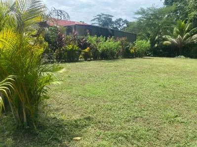 Terreno listo para desarrollo  ubicación privilegiada cerca de Puerto Viejo y atracciones Turísticas, photo 2