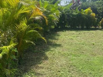 Terreno listo para desarrollo  ubicación privilegiada cerca de Puerto Viejo y atracciones Turísticas, photo 3