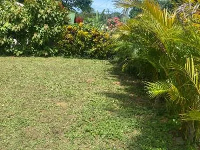 Terreno listo para desarrollo  ubicación privilegiada cerca de Puerto Viejo y atracciones Turísticas, photo 4