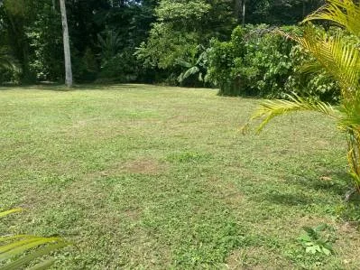 Terreno listo para desarrollo  ubicación privilegiada cerca de Puerto Viejo y atracciones Turísticas, photo 5