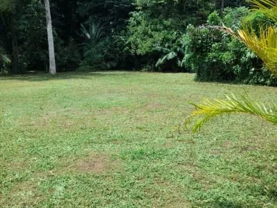 Terreno listo para desarrollo  ubicación privilegiada cerca de Puerto Viejo y atracciones Turísticas, photo 6