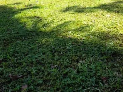 Terreno listo para desarrollo  ubicación privilegiada cerca de Puerto Viejo y atracciones Turísticas, photo 7