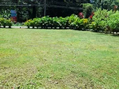 Terreno listo para desarrollo  ubicación privilegiada cerca de Puerto Viejo y atracciones Turísticas, photo 8