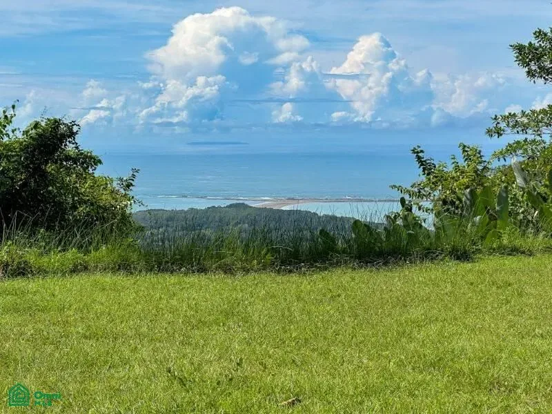 Uvita, Calle Bejuco, Puerto Cortés, Puntarenas 60504