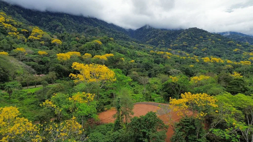 Lote premium de 2,27 acres con vista a la montaña en Caracara Ridge, lote 22, photo 18