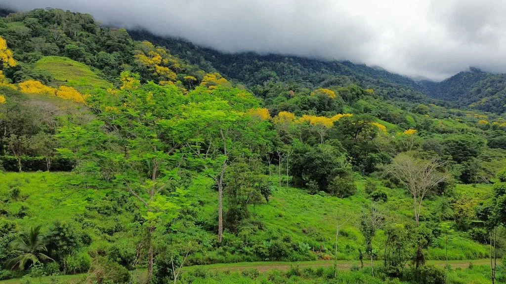 Lote premium de 2,27 acres con vista a la montaña en Caracara Ridge, lote 22, photo 19