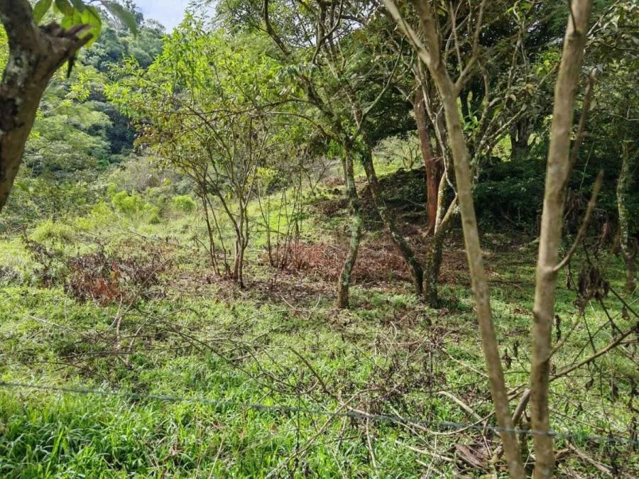 Venta de Lote en Colôn-Mora, San José. RAH 25-1619 - Venta en Colón, photo 5