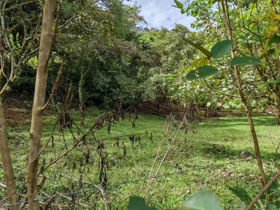 Venta de Lote en Colôn-Mora, San José. RAH 25-1619 - Venta en Colón, photo 7