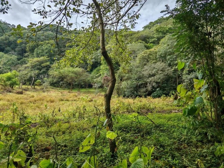 Venta de Lote en Colôn-Mora, San José. RAH 25-1619 - Venta en Colón, photo 9