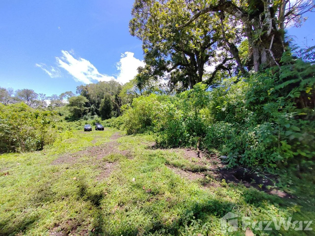 Land for Sale at Montes de Oca for $950,000, photo 13