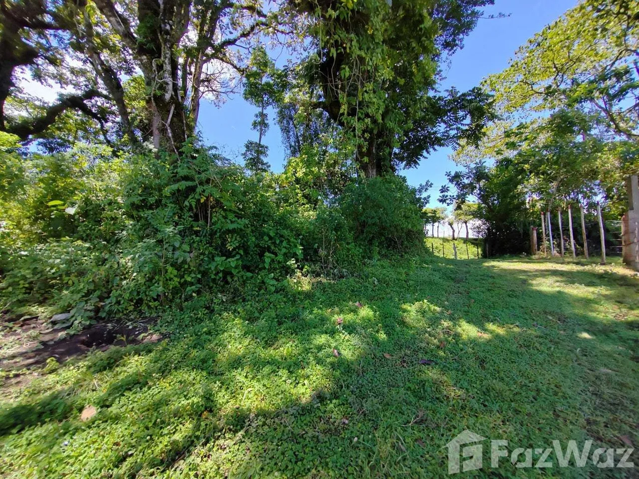 Land for Sale at Montes de Oca for $950,000, photo 14