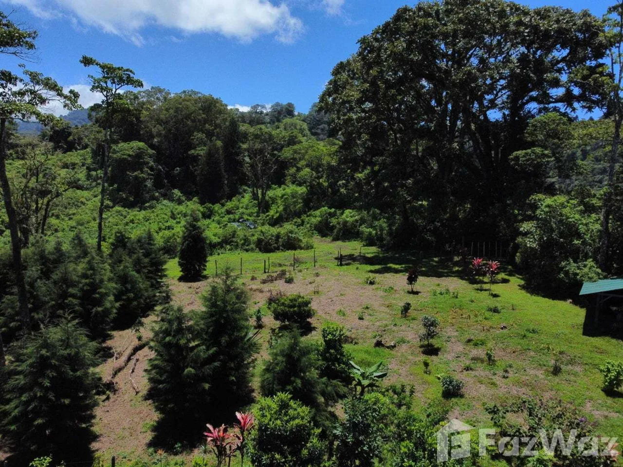 Land for Sale at Montes de Oca for $950,000, photo 8