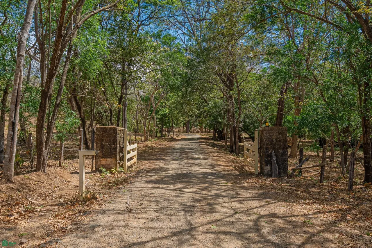 Cerro Grande Estates Road Lot 1, Tamarindo, Guanacaste 50309