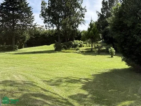 ruta nacional, secundaria 113, San Pablo, Heredia 40901