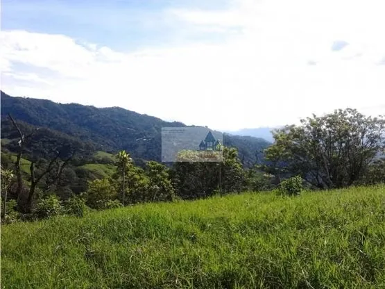 ¡¡¡GRAN OPORTUNIDAD DE INVERSIÓN!!! Carrizal de San Isidro