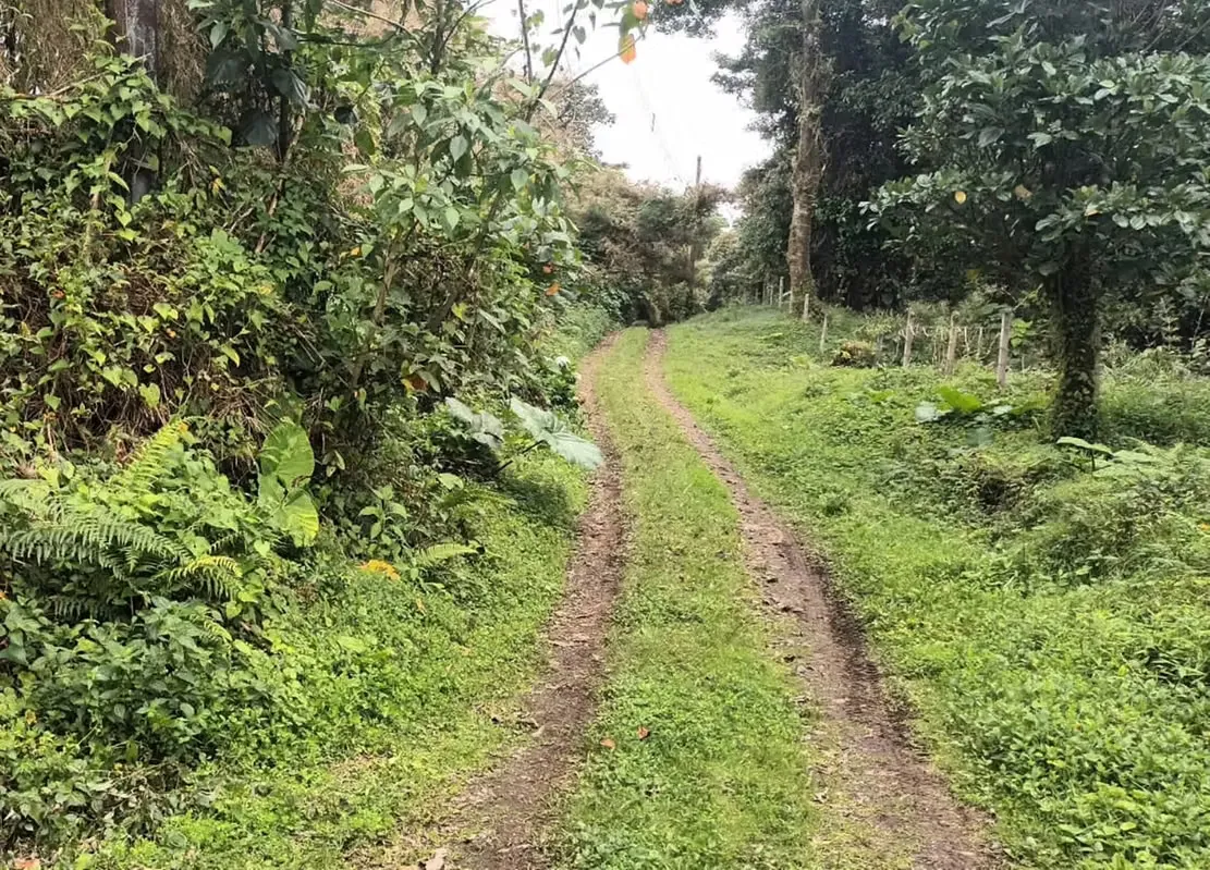 Coronado Eco-Friendly 8 Acre Building Lot for sale, photo 3