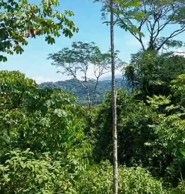 ENCHANTING 43-HECTARE FINCA WITH MODERN WOODEN CABIN AND INFINITY POOL, photo 2