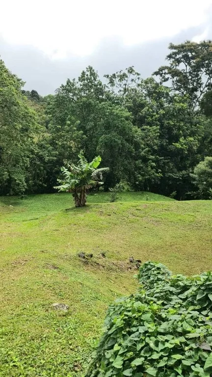 ENCHANTING 43-HECTARE FINCA WITH MODERN WOODEN CABIN AND INFINITY POOL, photo 7
