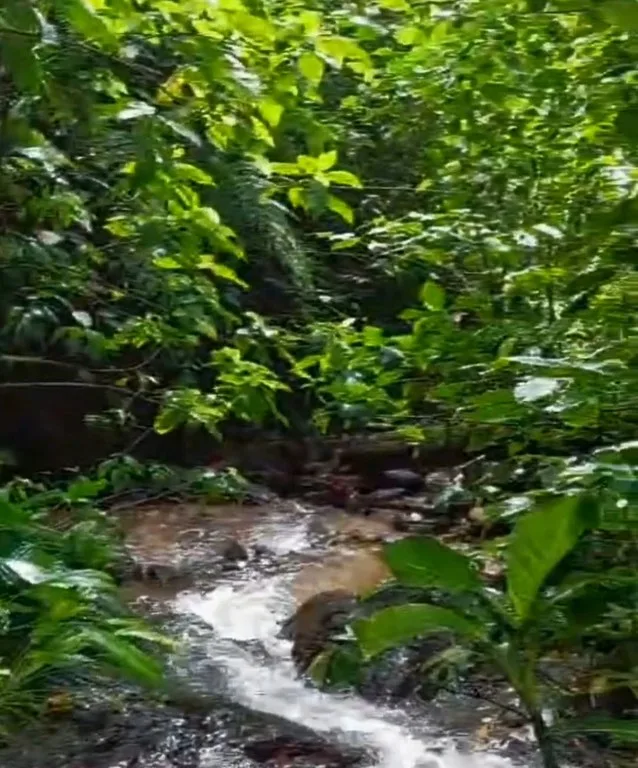 ENCHANTING 43-HECTARE FINCA WITH MODERN WOODEN CABIN AND INFINITY POOL, photo 8