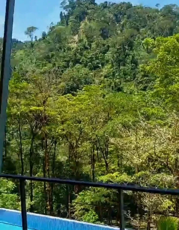 ENCHANTING 43-HECTARE FINCA WITH MODERN WOODEN CABIN AND INFINITY POOL, photo 3