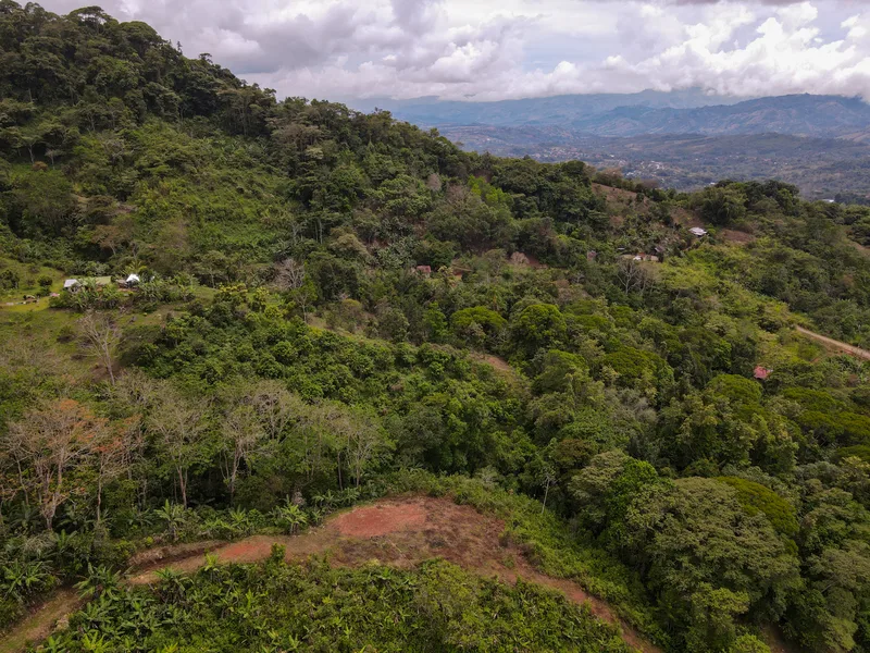 Land For Sale in Perez Zeledon