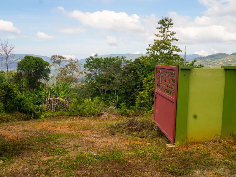 Land For Sale in Perez Zeledon, photo 2