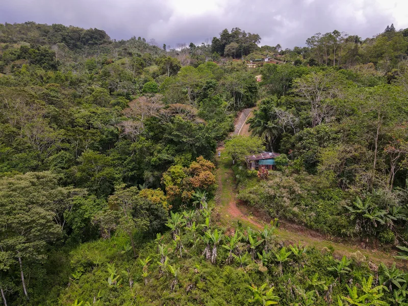 Land For Sale in Perez Zeledon, photo 12