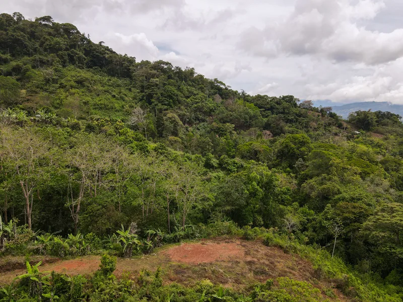 Land For Sale in Perez Zeledon, photo 13