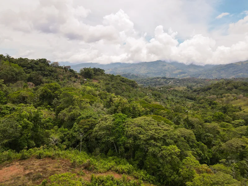Land For Sale in Perez Zeledon, photo 14