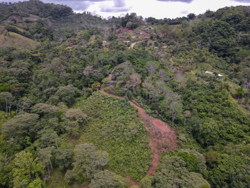 Land For Sale in Perez Zeledon, photo 4