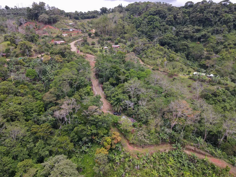 Land For Sale in Perez Zeledon, photo 5