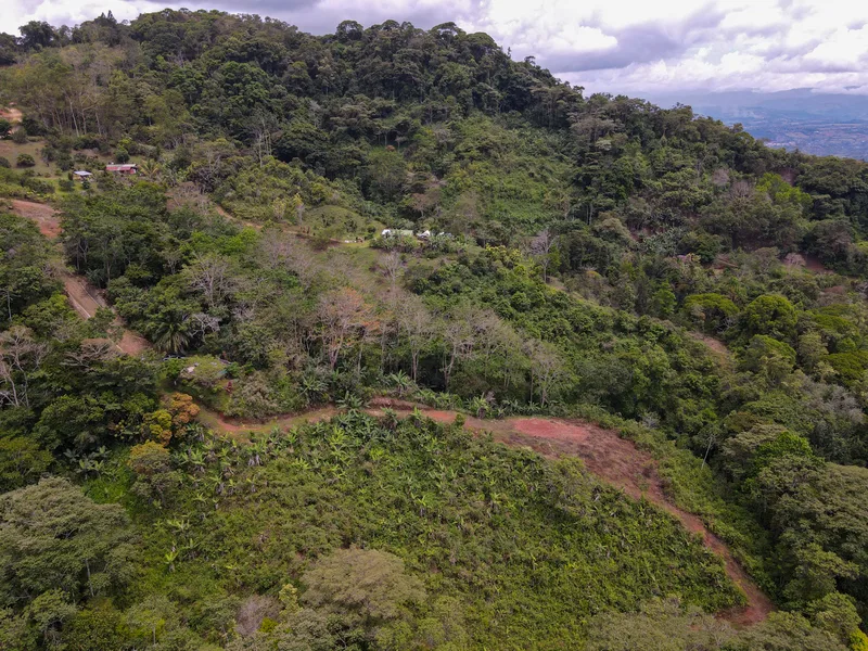 Land For Sale in Perez Zeledon, photo 6